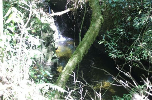 Pousada Quinta das Nascentes Petrópolis Exterior foto